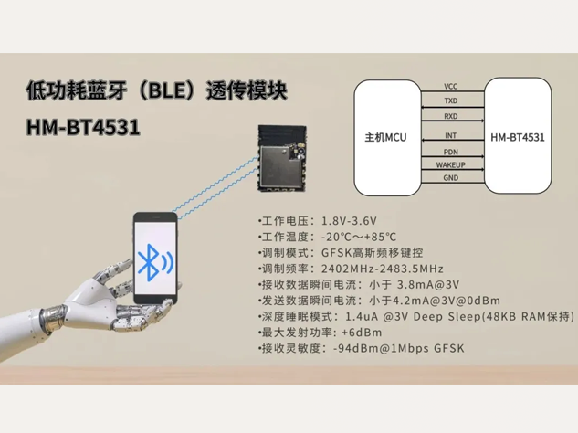 HM-BT4531